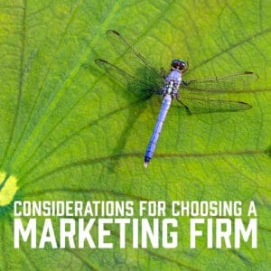 Considerations for Choosing a Marketing Firm