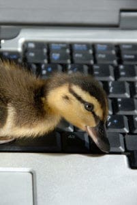 Duck-keyboard