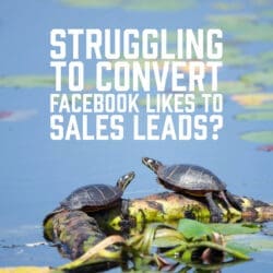 Struggling to Convert Facebook Likes to Sales Leads?
