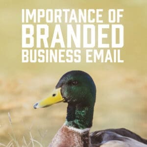 Importance of Branded Business Email