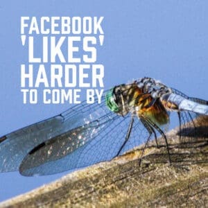 Facebook 'Likes' Harder To Come By