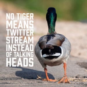 No Tiger Means Twitter Stream Instead of Talking Heads