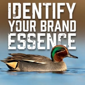 Identify Your Brand Essence