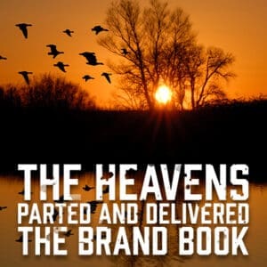 the brand book