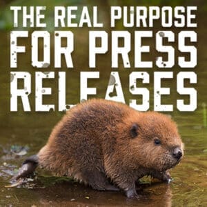 BEaver