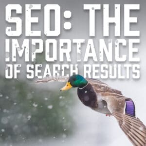 Search Results