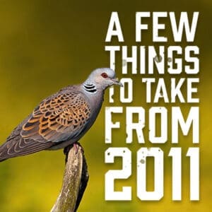 takeaways from 2011