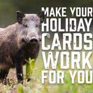 HolidayCards
