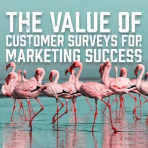 The Value of Customer Surveys for Marketing Success