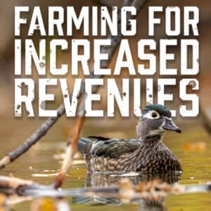 Farming for Increased Revenues