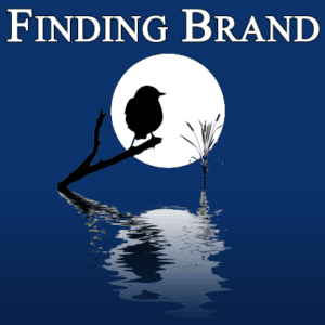 finding-brand