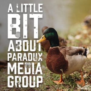 a llittlebit