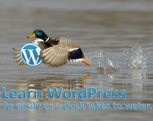 learn-wordpress-300x238