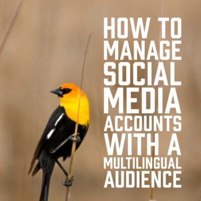How to Manage Social Media Accounts with a Multilingual Audience
