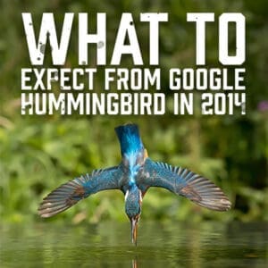 Hummingbird