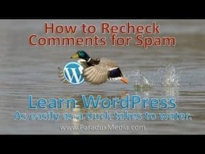 Video thumbnail for youtube video WordPress Tutorial: How to Recheck Comments for Spam - Comments, WordPress Tutorials - Paradux Media Group