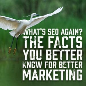 WhatsSEO