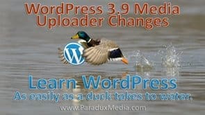 Video thumbnail for vimeo video WordPress Tutorials: 3.9 Media Changes - Paradux Media Group