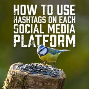 Hashtags