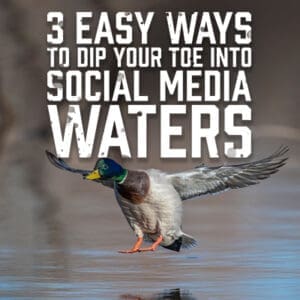 Dipyourtoes