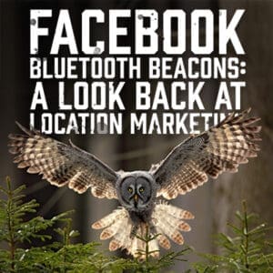 Facbookowl
