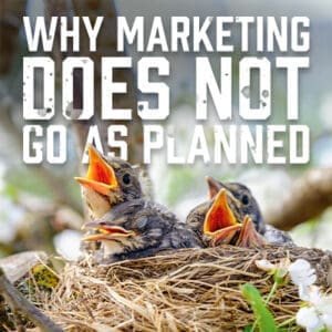 Marketing