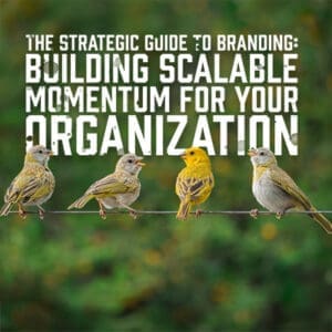 Momentum2