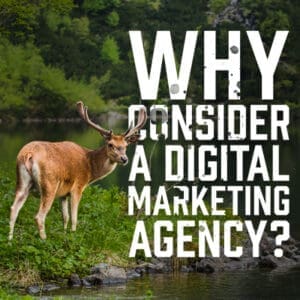 Digital Market