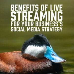 Benefits of Live Streaming for Your Business’s Social Media Strategy