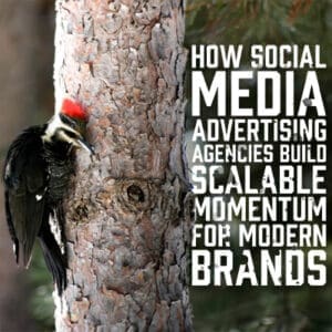 ModernBRands