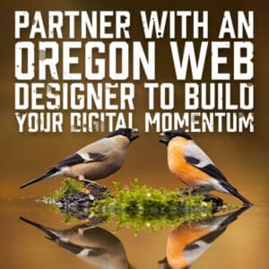 DigitalMomentum