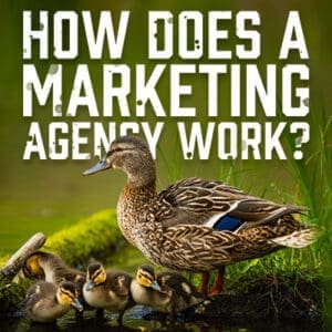 MarketingAgencyWork