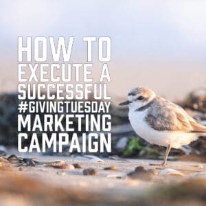 How to Execute a Successful #GivingTuesday Marketing Campaign