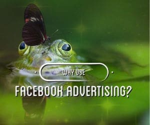 Why Use Facebook Advertising