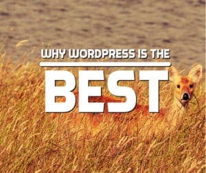 Why WordPress is the Best