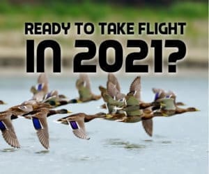 Ready to take flight in 2021 Business Growth in 2021