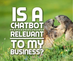 Is a Chatbot Relevant to my Business