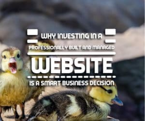 Why Investing in a Professionally Built and Managed Website is a Smart Business Decision