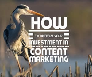 How to Optimize Your Investment in Content Marketing
