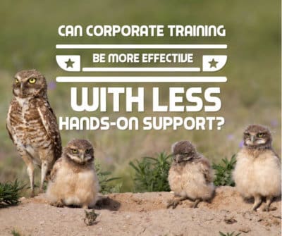 Can Corporate Training Be More Effective With Less Hands-On Support?