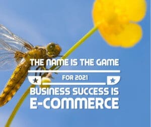 The Name of the Game for 2021 Business Success is E-Commerce