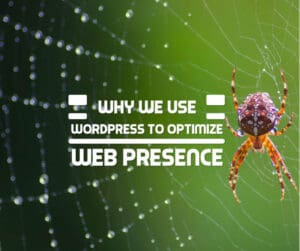 Why We Use WordPress to Optimize Web Presence