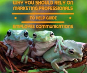 Why You Should Rely on Marketing Professionals to Help Guide Employee Communications