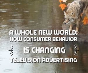 A Whole New World How Consumer Behavior is Changing Television Advertising