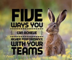 Five Ways You Can Achieve Higher Performance With Your Teams