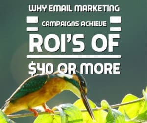 Why Email Marketing Campaigns Achieve ROI’s of $40 or More