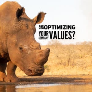 Are you optimizing your company values