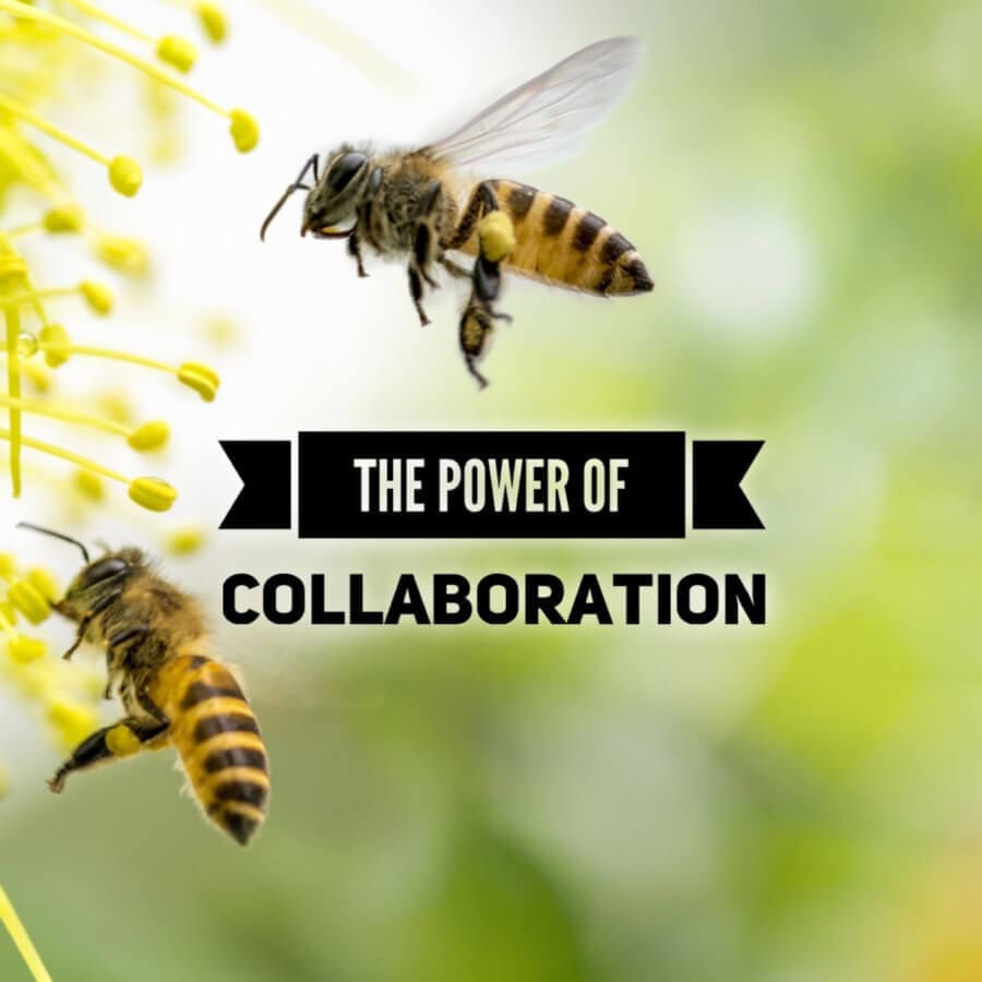The Power of Collaboration