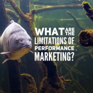 What are the Limitations of Performance Marketing?