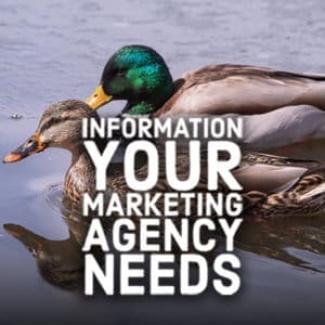 information your marketing agency needs